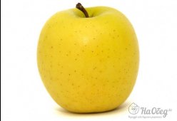 Яблоки «голден»