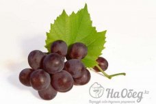 Виноград «изабелла»