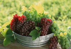 Салаты с виноградом