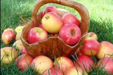 Салаты с яблоками
