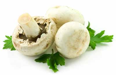 Рецепты салатов из шампиньонов