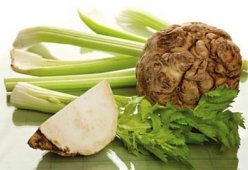 Салаты из корня сельдерея