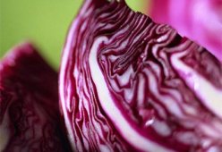 Салаты из краснокочанной капусты