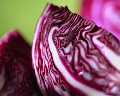 Салаты из краснокочанной капусты