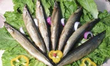 Салаты с сайрой