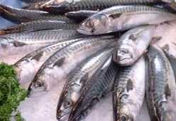 Салаты из скумбрии