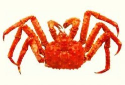 Салаты из мяса краба