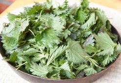 Салат из крапивы