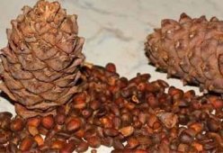 Салаты с кедровыми орешками