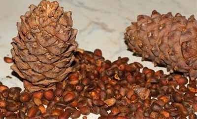 Салаты с кедровыми орешками