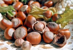 Салаты с фундуком