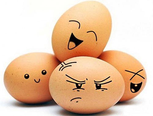Варить яйца – просто или сложно?