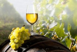 Белое полусухое вино