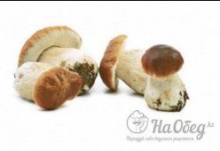 Грибы белые