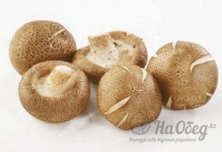 Грибы шиитаке