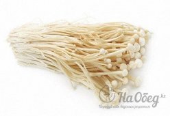 Грибы эноки