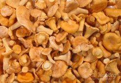 Лисички замороженные