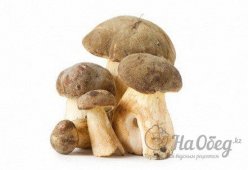 Подберезовики