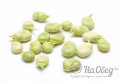 Фасоль лимская