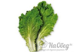 Латук