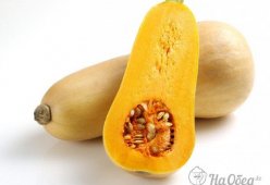 Тыква баттернат сквош