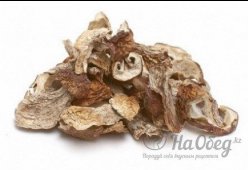 Грибы белые сушеные