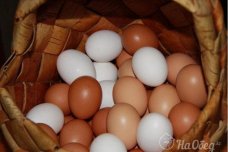 Яйцо куриное крупное