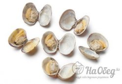 Ракушки-венерки (вонголе)