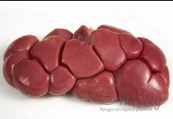 Почки телячьи