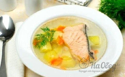 Уха из красной рыбы