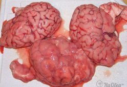 Мозги говяжьи