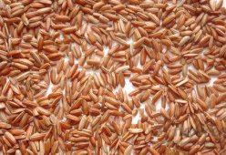 Рис бурый коричневый