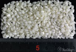 Рис для паэльи