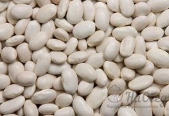 Фасоль каннеллини