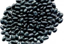Фасоль черная