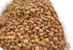 Чечевица коричневая