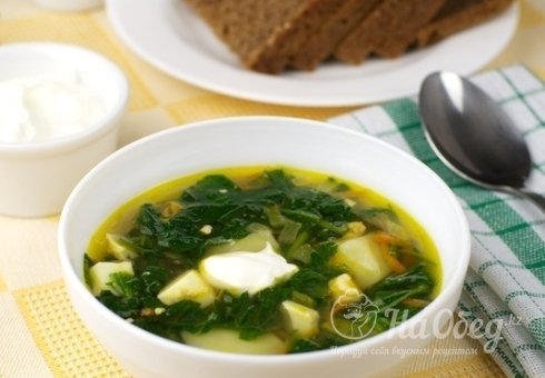 Зеленый борщ с рисом