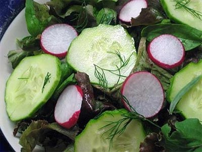 салат с редиской и огурцом